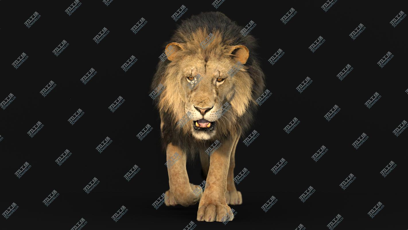 images/goods_img/20210113/3D Lion ANIMATED RedShift/4.jpg